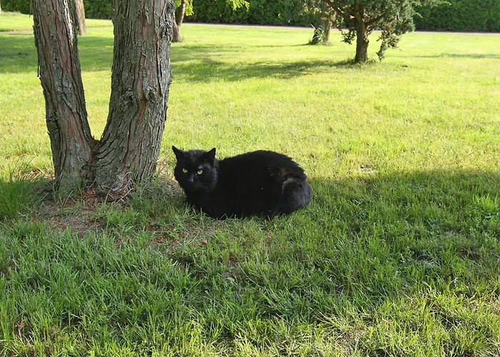 Doppelhaushaelfte, Plau Am